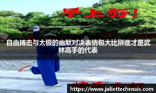 自由搏击与太极的幽默对决表情包大比拼谁才是武林高手的代表