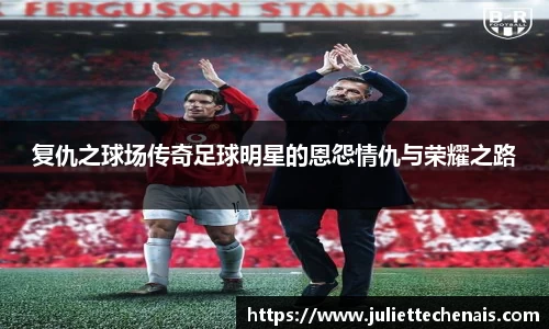 复仇之球场传奇足球明星的恩怨情仇与荣耀之路